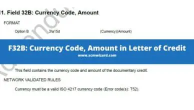 F32B Currency code amount in LC
